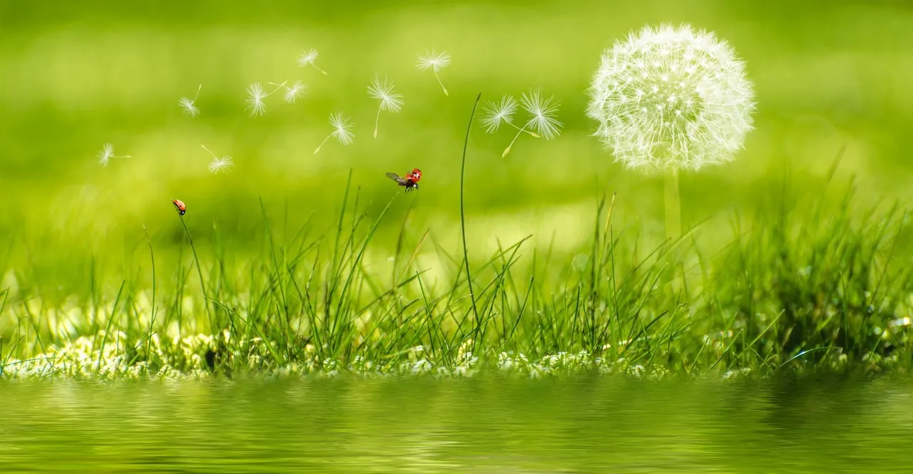 Attributes of God: Hari ke-23